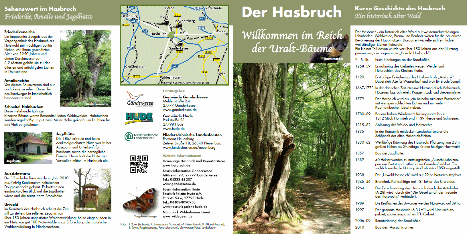 Hasbruch Flyer 2020 S1